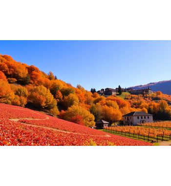 Тур «Осень в Грузии» из Узбекистана — лучшее время для путешествия